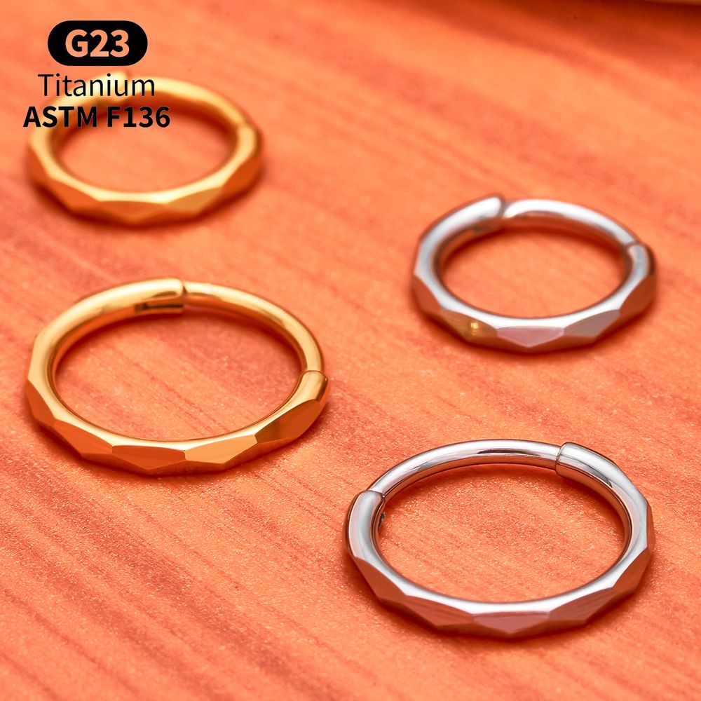 Титановое кольцо-клипса G23 с  – обзор и цена Conch Earring Hoop